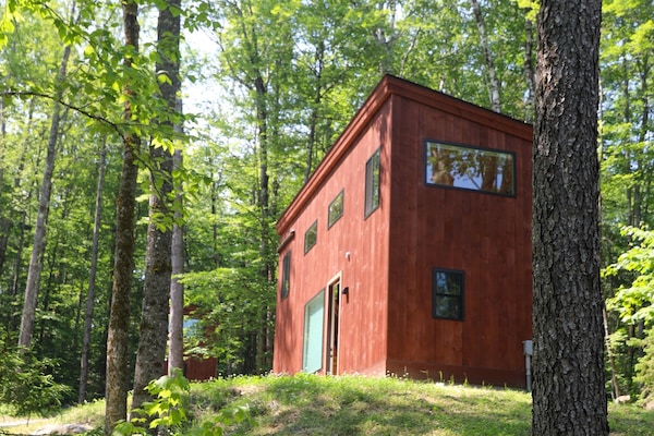 Mountainside modern, forest deep