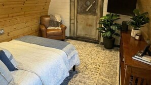 A cozy, log cabin-style bedroom with a bed, a chair, a TV, and potted plants. - Iconic 727 Jet: Private Aft Suite + Lounge (Houston)