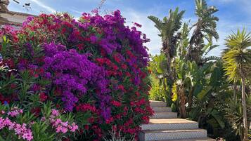 Villa | Bahagian luar