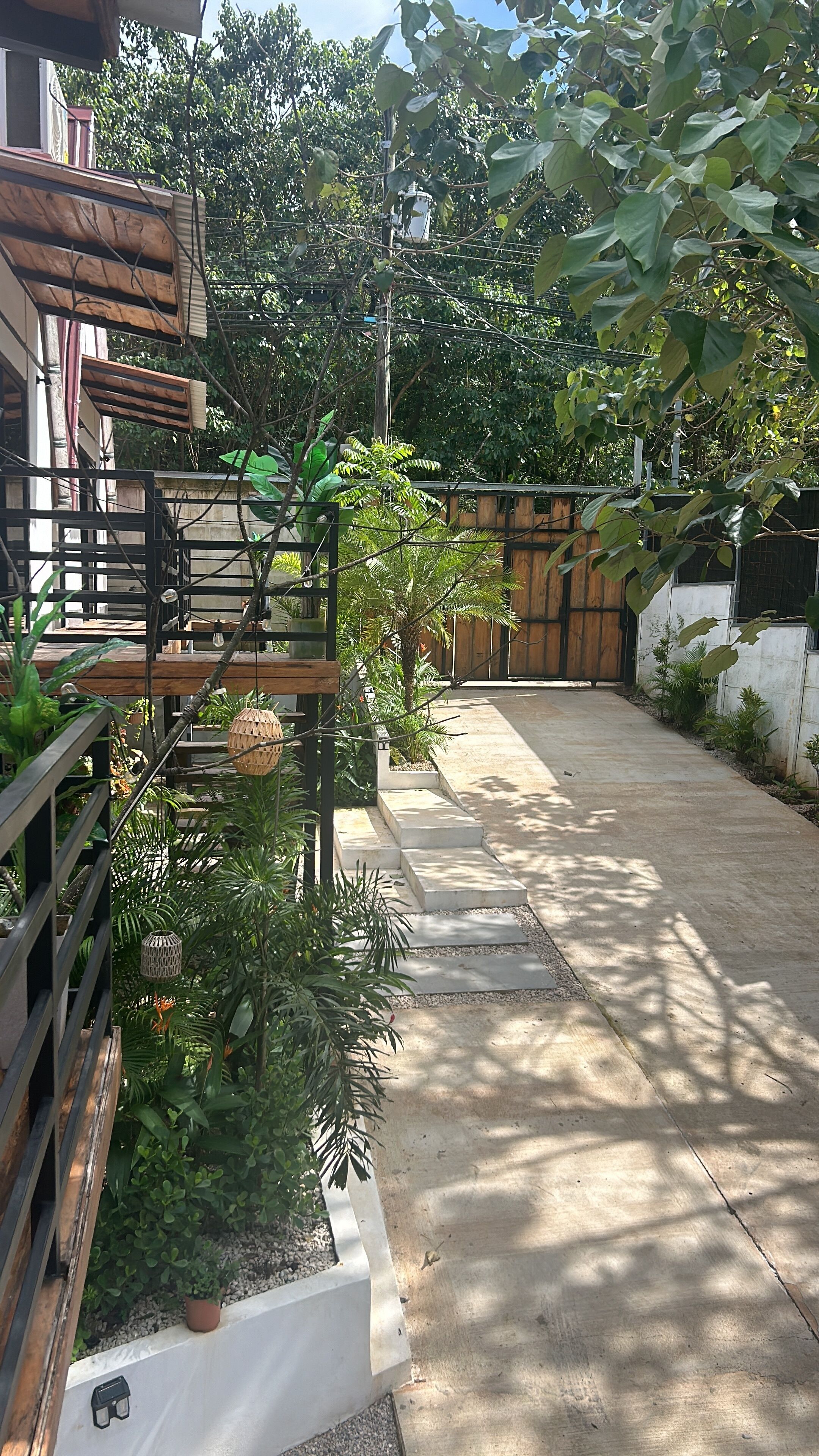 Un sendero en un jardín con escalones que conducen a un portón de madera, rodeado de abundante follaje y plantas en macetas.