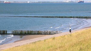 En strand med träspontar, en person som promenerar och en avlägsen vy över industriella byggnader.