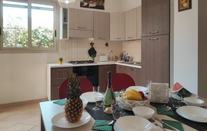 Fridge, stovetop, cookware/dishes/utensils