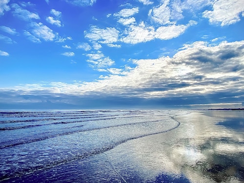 Shirley's Haven - UK46631