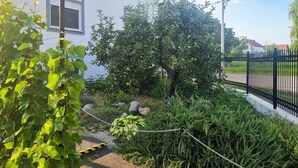 Un jardin avec différentes sortes de plantes et une clôture en treillis métallique.