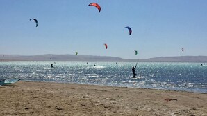 Una playa con gente volando cometas y practicando windsurf.