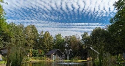 Lodge in Brabant With Cozy Covered Terrace