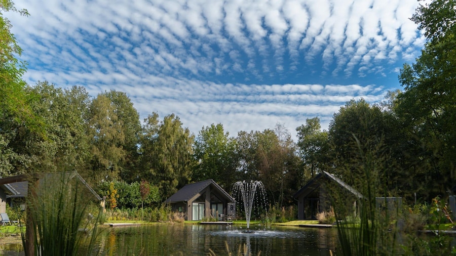 Lodge in Brabant With Cozy Covered Terrace