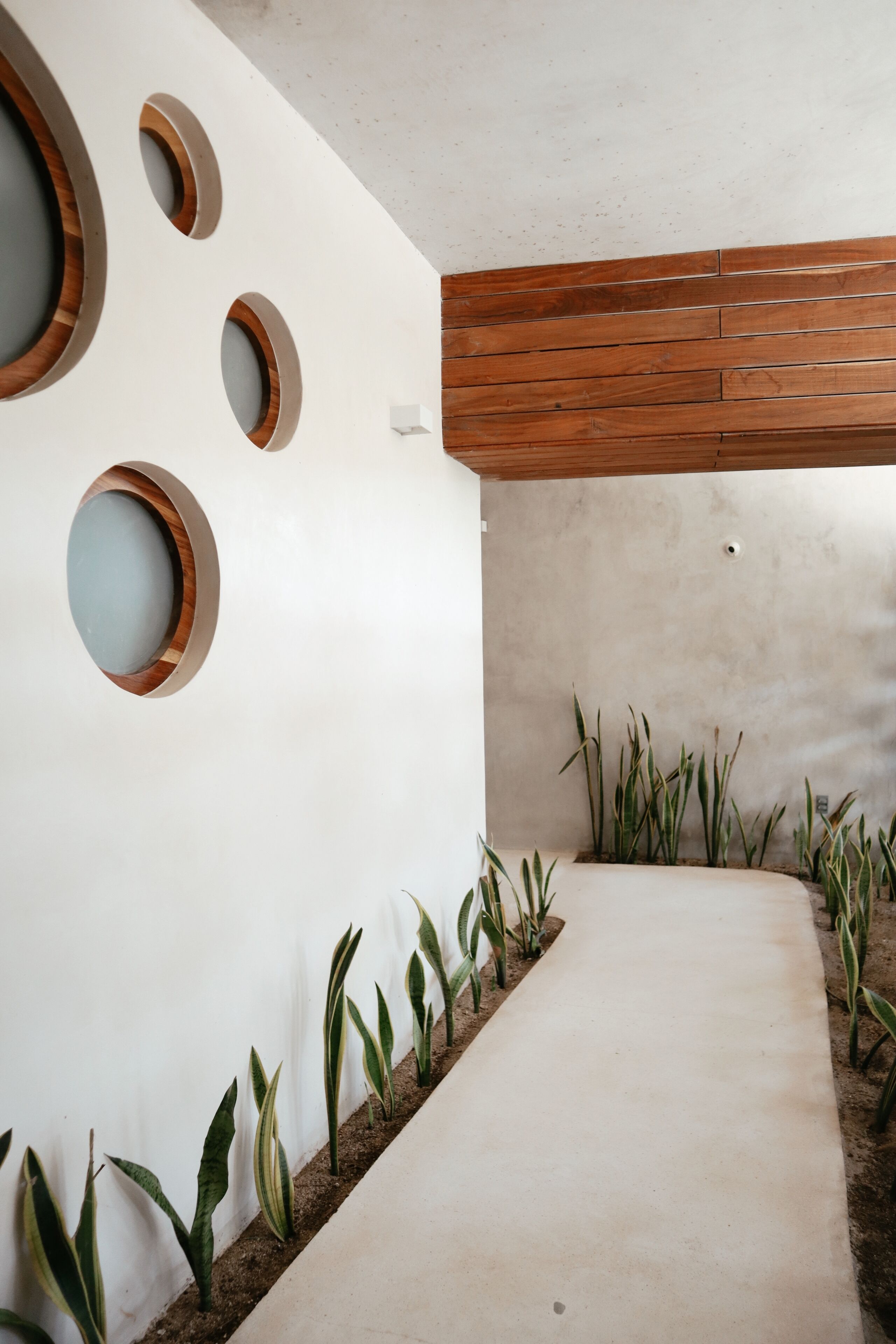 Un intérieur moderne avec un sol en béton, des panneaux de plafond en bois et des décorations murales de forme circulaire.