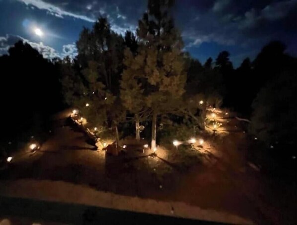 A nighttime view of a forested area with trees and a pathway illuminated by lights.