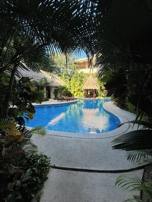 Pool - Departamento en Tulum (Tulum)