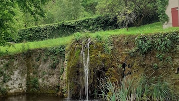 Casa | Jardín