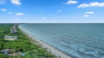 بالقرب من الشاطئ