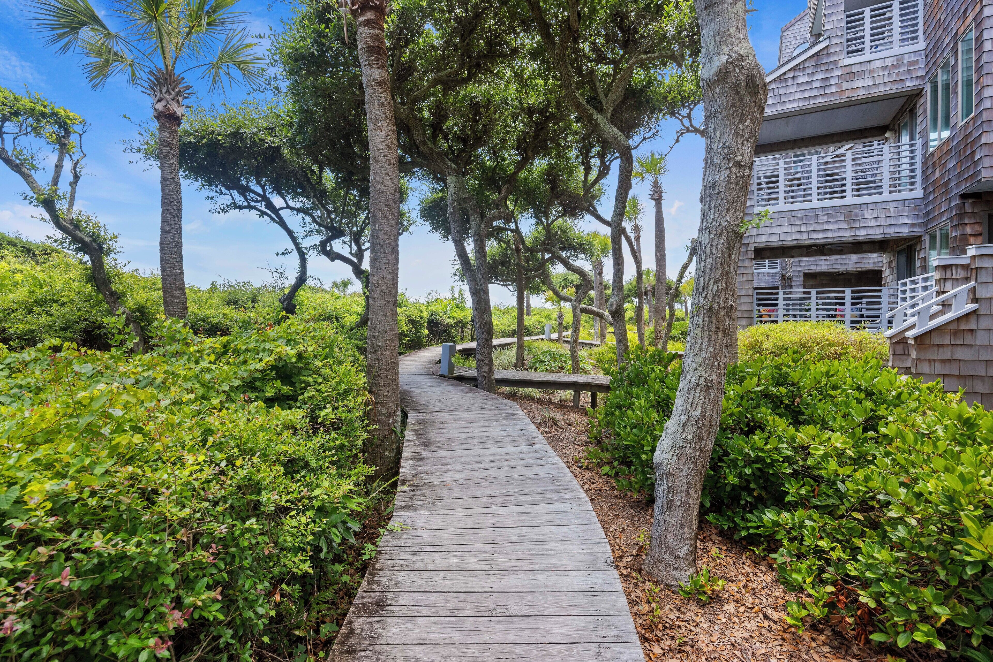 Terrain de l’hébergement 