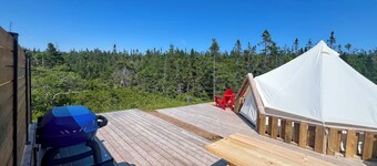 Spruce Bell Tent near Peggy's Cove