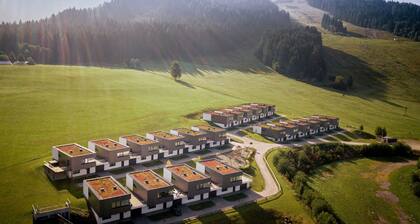 Attractive Chalet With Sauna