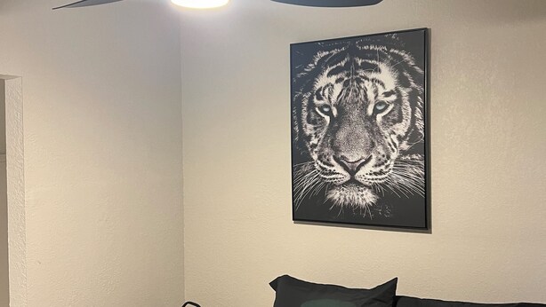 Ein Schlafzimmer mit einem Bett, einem Deckenventilator, einem an der Wand hängenden Bild und einem kleinen Nachttisch.