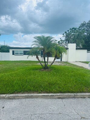 A residential area with a white house, a lawn, and a palm tree.