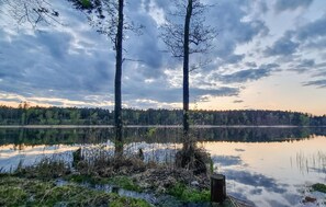 Miscellaneous - 1 bedroom pet friendly home in Rekowo (Rekowo)