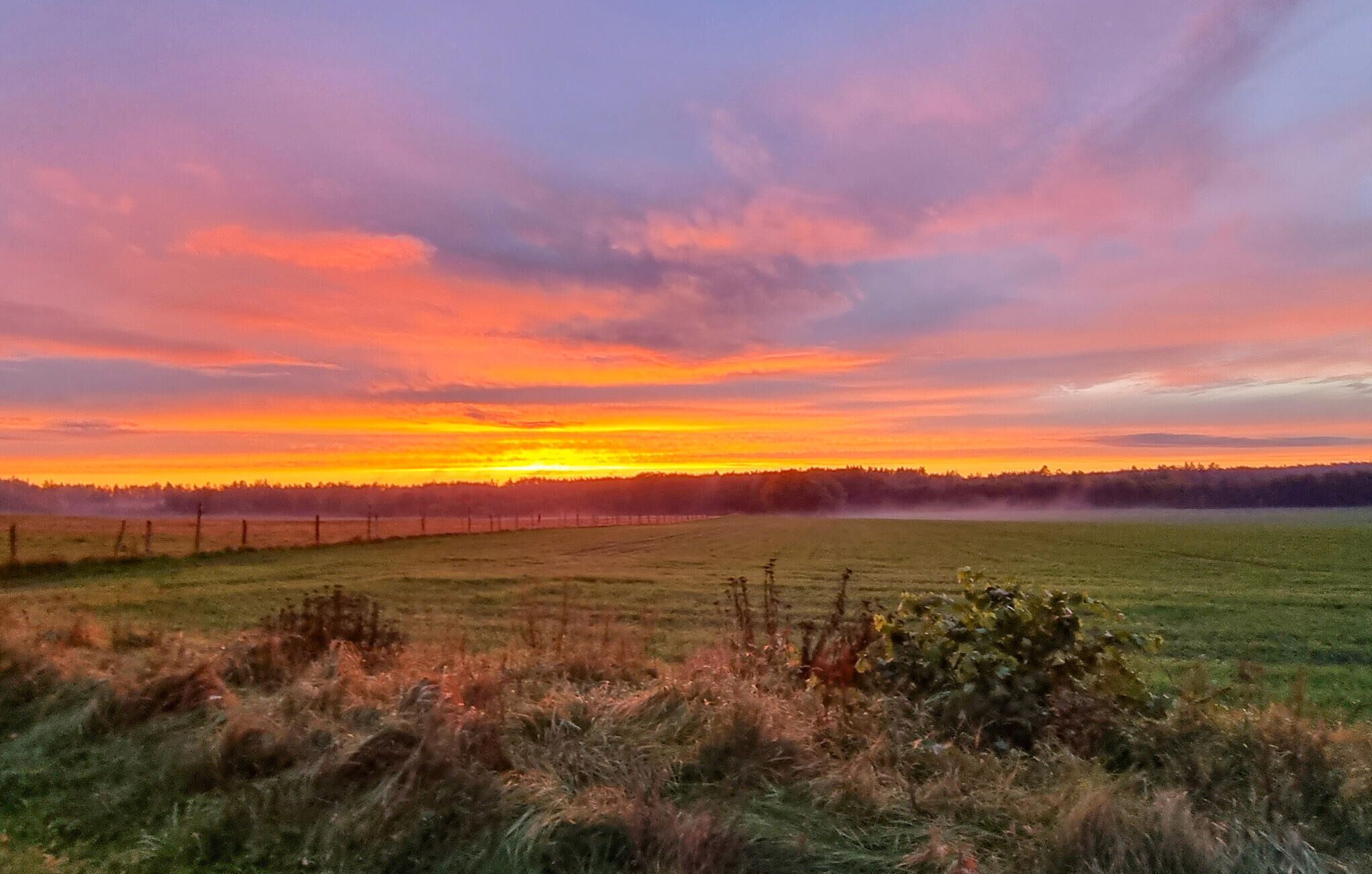 A field with a fence in the foreground and a sunset in the background.