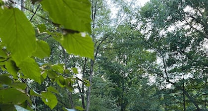 2 Queen-Bed Canvas Bell Tent on Working Farm in Historic Laurel Highlands