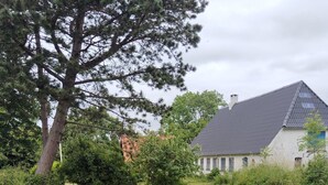 Een grasveld met een grote boom en een gebouw met een schuin dak.
