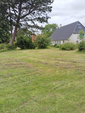 A grassy field with a large tree and a building with a sloped roof. - Holiday cottage with a 90-degree sea view (Ærøskøbing)