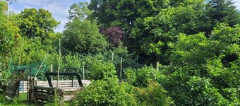 Part of a closed-down village school.