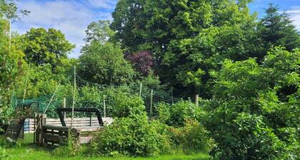 Part of a closed-down village school.