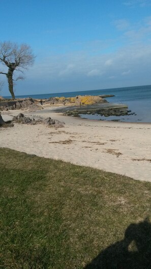 Une plage avec des rochers, un arbre et un ciel dégagé.