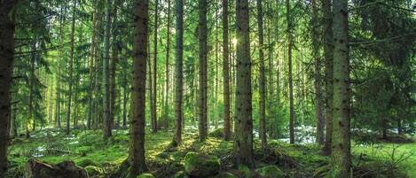 Parco della struttura