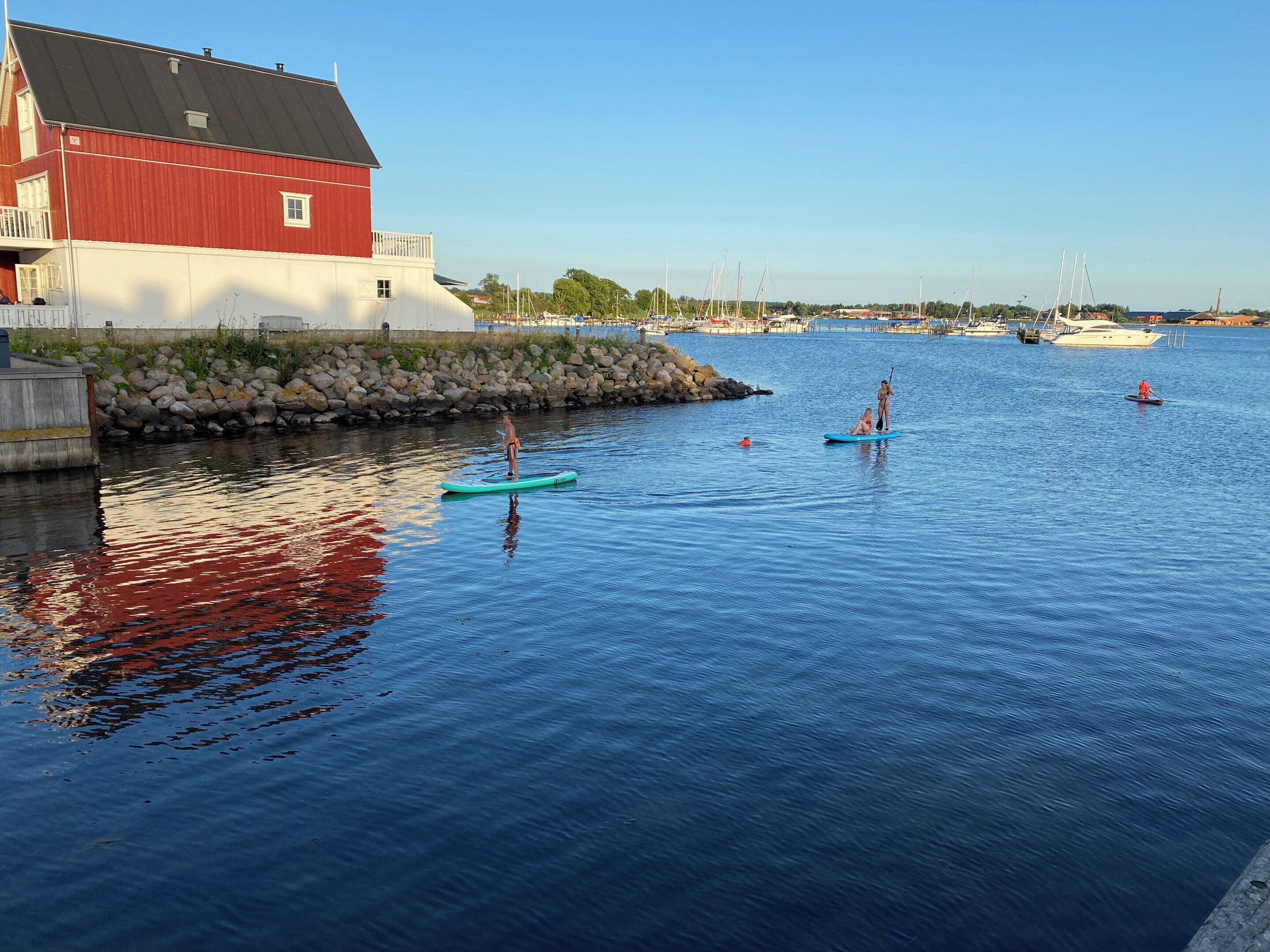 A calm waterfront with paddleboards, a red building, and boats in the background.