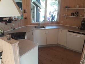Fridge, oven, stovetop, dishwasher