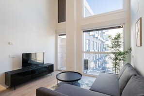 TV - loft industrial con garaje de alquiler temporal (Madrid)