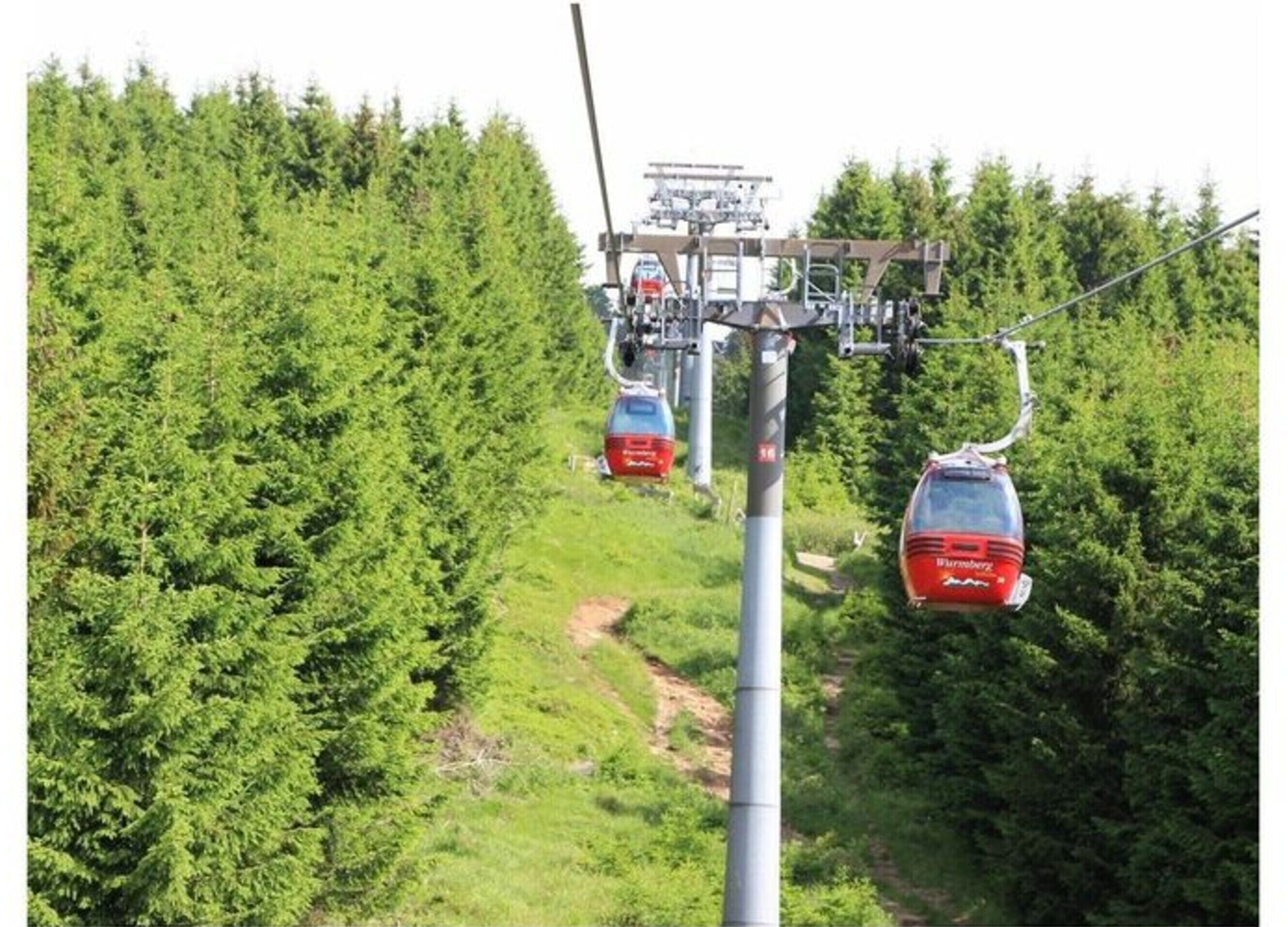 Un réseau de téléphériques avec des cabines rouges suspendues à de hauts pylônes métalliques, le tout entouré d’une forêt dense et verdoyante.
