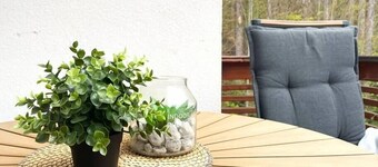 Forest Oasis Studio: free Netflix and Disney+