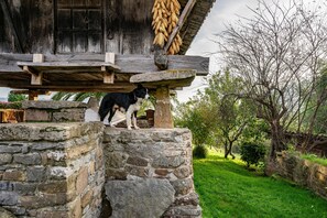 Property grounds - Country House 'La Casina Del Fresnu' with Shared Garden, Balcony and Wi-Fi (Asturias)