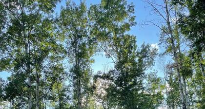 Whimsical Cottage by the Lake