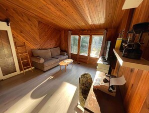 Smart TV, fireplace, DVD player, books