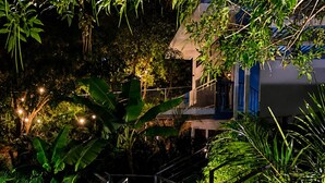 Una escalera rodeada de vegetación exuberante que conduce a un edificio de color azul.