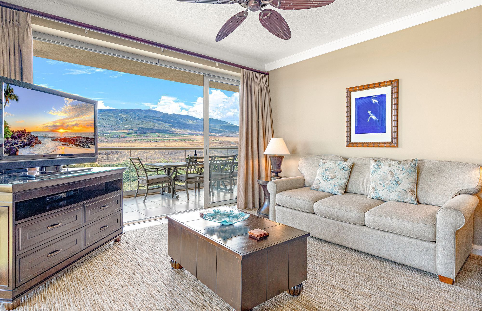 TV, lettore DVD, impianto stereo