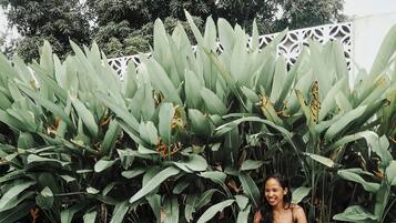 Alberca al aire libre y camastros