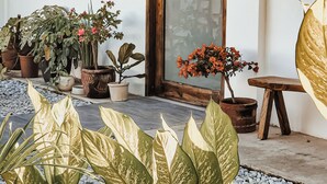 A storefront with a wooden door and a large window displaying a mannequin. - 148 Guesthouse and Resort (Alaminos)