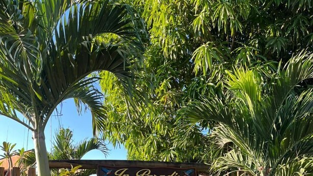 A wooden fence with a sign that reads "In Paradiso Pousada" in front of a lush garden with various plants and a stone pathway. - Pousada In Paradiso (Aracruz)