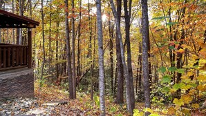A wooden cabin with a stone foundation, surrounded by a forest with autumn foliage. - Cozy Bear: A Dreamy Cabin Hideout for Two, Gatlinburg & Pigeon Forge - SPECIALS (Pigeon Forge)