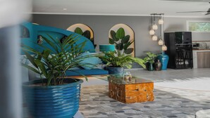Una sala de estar moderna con un sofá azul, una mesa de centro de vidrio y diversas plantas en macetas.