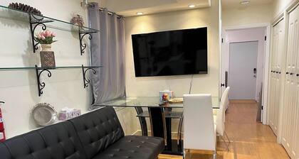 Newly Remodeled Sparkling Clean 1BR near SF/SFO+EV