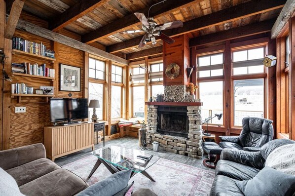 Smart TV, fireplace, DVD player, books