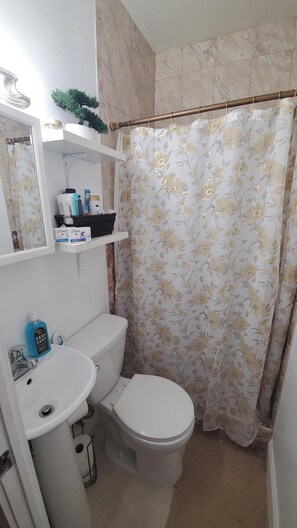 SĂšche-cheveux, serviettes fournies, savon, papier toilette