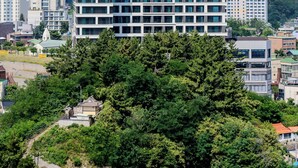 外觀