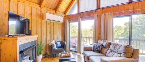 TV, fireplace, books